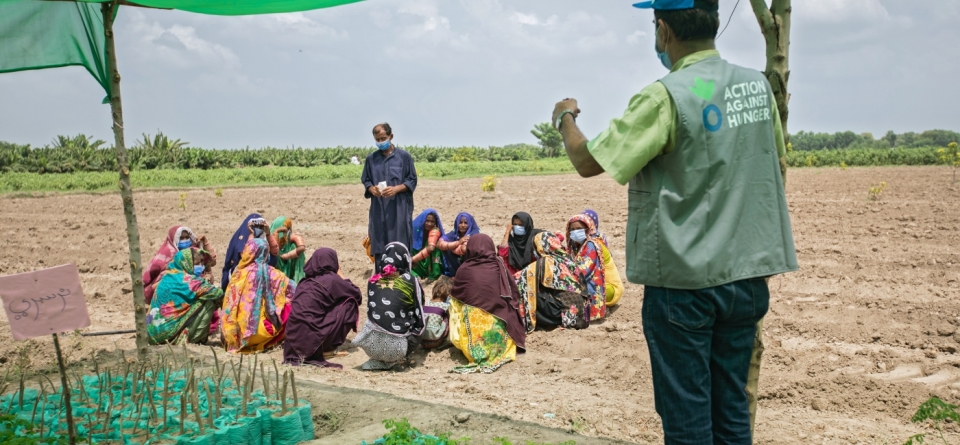 Prévenir la malnutrition au Pakistan à travers les champs-écoles des producteurs